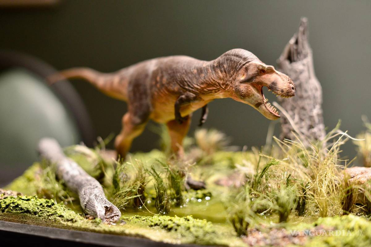 ‘A lo Jurassic Park’: presenta Mude primer tiranosaurio en Coahuila... y se completa la cadena alimenticia