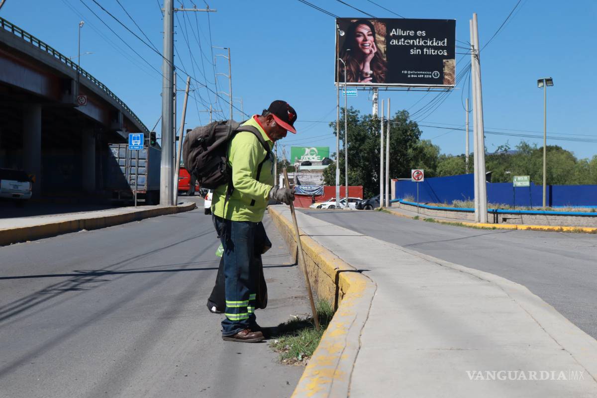 $!Brigadas del programa “Aquí andamos” retiran la maleza de los camellones.