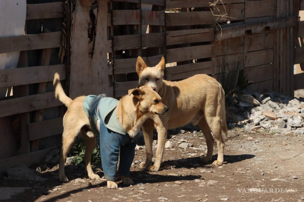 En Saltillo, seis mil personas habitan en algún punto de riesgo, sobre todo en temporada de lluvias