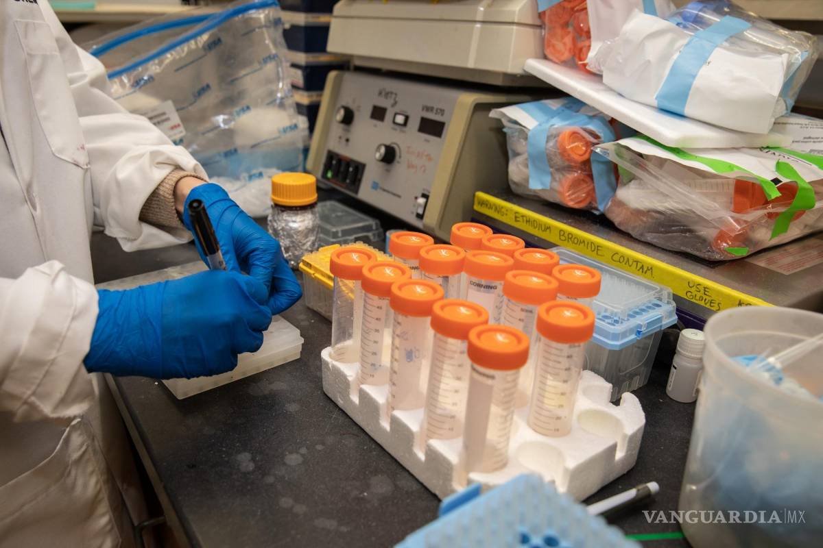 $!La emergencia por COVID-19 llega a su fin y la vigilancia se traslada a las alcantarillas