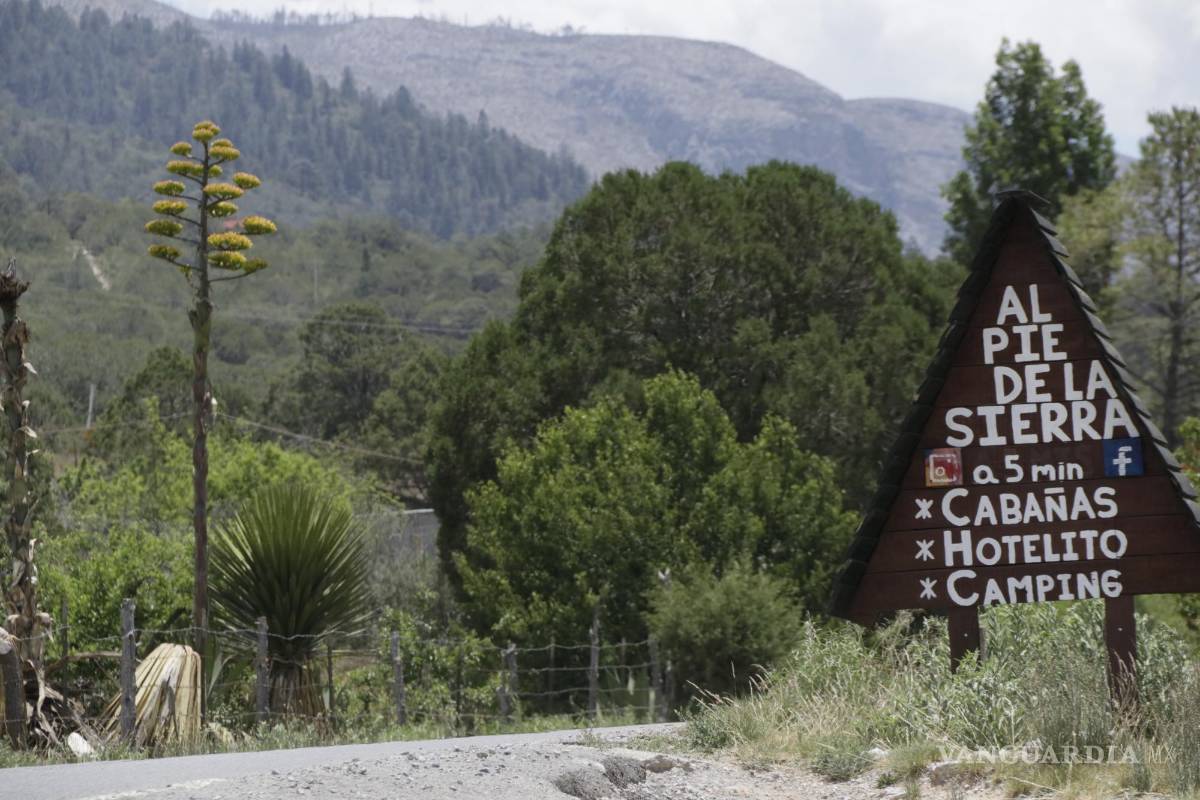 $!La proliferación de cabañas ha evidenciado la ausencia de una autoridad que vigile los cambios de uso de suelo, licencias de construcción o permisos en general.