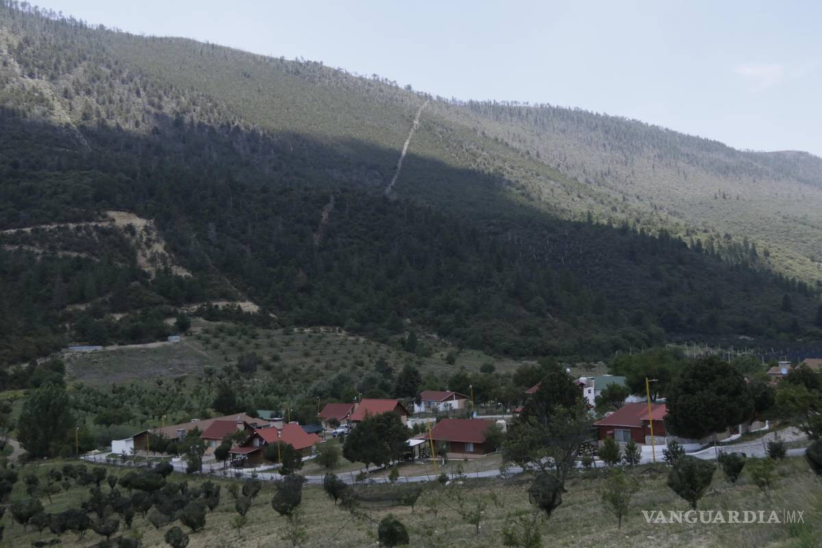 Alertan sobre fraudes en reservaciones de cabañas en Arteaga