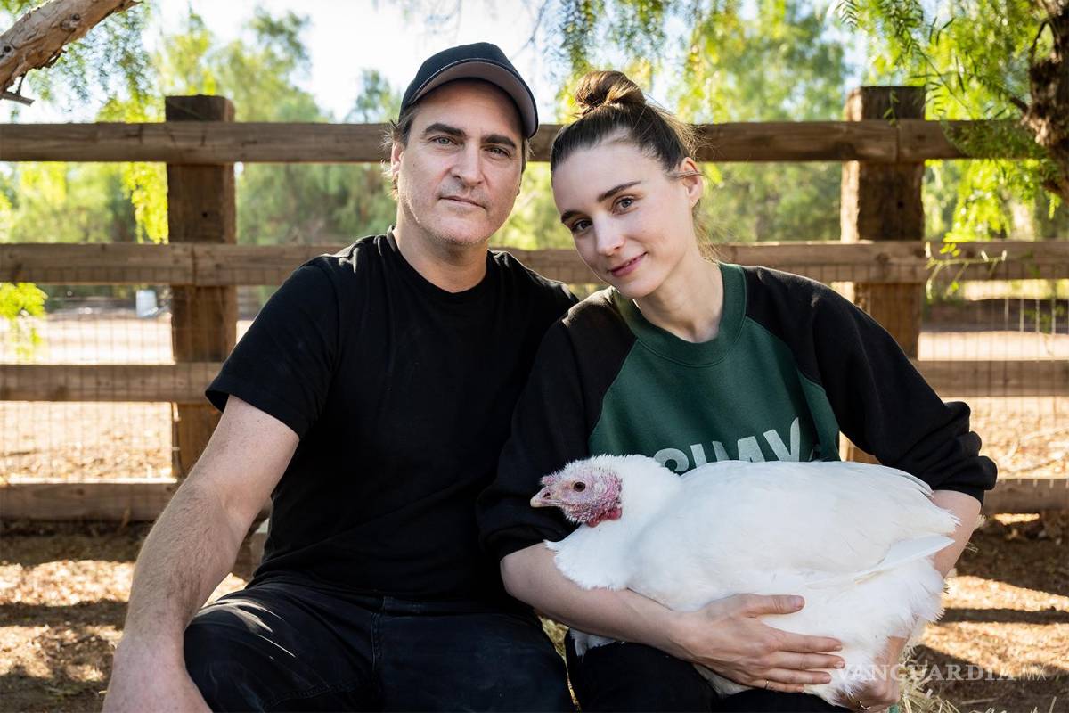 Joaquin Phoenix y Rooney Mara invitan a la gente a adoptar, no a comer pavos este Día de Acción de Gracias