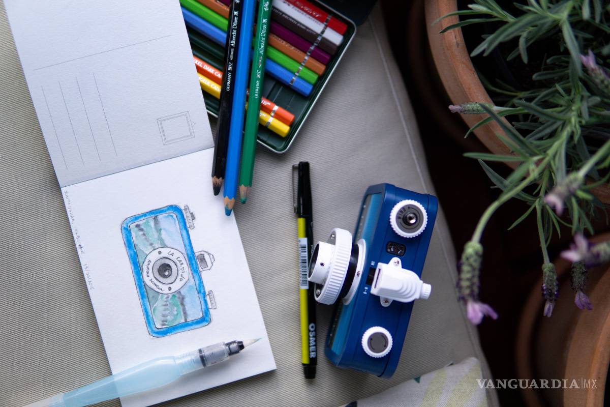 $!¡Duraderas y fáciles de cuidar! Las mejores plantas para decorar el baño, la cocina y hasta la recámara