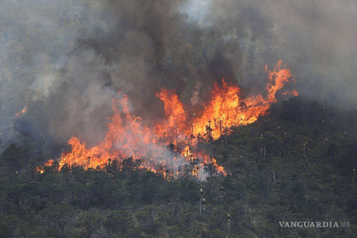 $!Saltillo, Coahuila 20 de mayo de 2022. El incendio registrado en La Carbonera sigue sin controlarse.