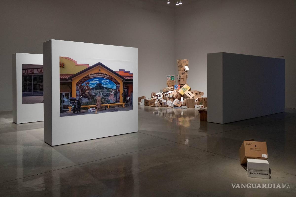 $!‘El otro vecino del otro lado’: Arte que revela la realidad de la migración latina a Canadá