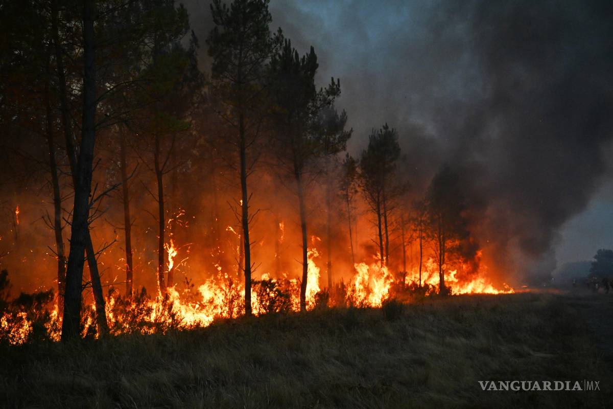 $!El incendio en Marcheprime, cerca de Burdeos, Francia, el 26 de julio del 2026. (AP foto/Emma Da Silva)
