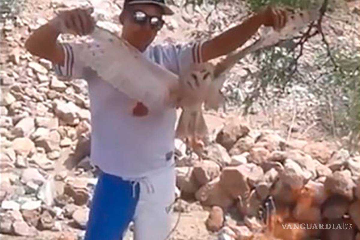 Adolescente que quemó a una lechuza, “por bruja”, ya fue detenido