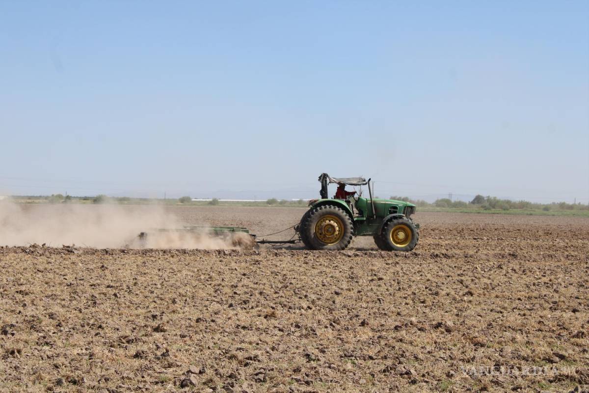 $!El estrés hídrico tiene muchas consecuencias como la desertificación y el empobrecimiento de los suelos.