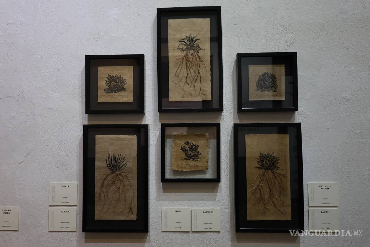 $!Laura Valdez inaugura exposición de pintura ‘Contrastes’: Reúne el mar y el desierto con arte