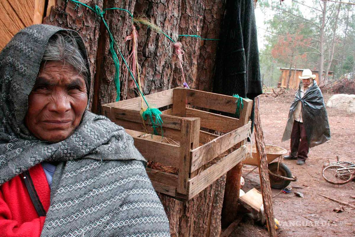 Gobierno de México no cumple con tratados internacionales sobre derechos humanos: ASF