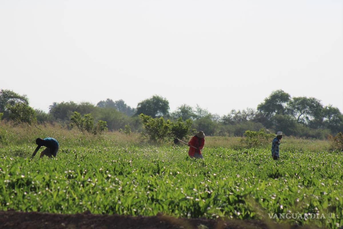 $!El próximo 4 de junio los coahuilenses acudirán a las urnas para elegir gobernador.