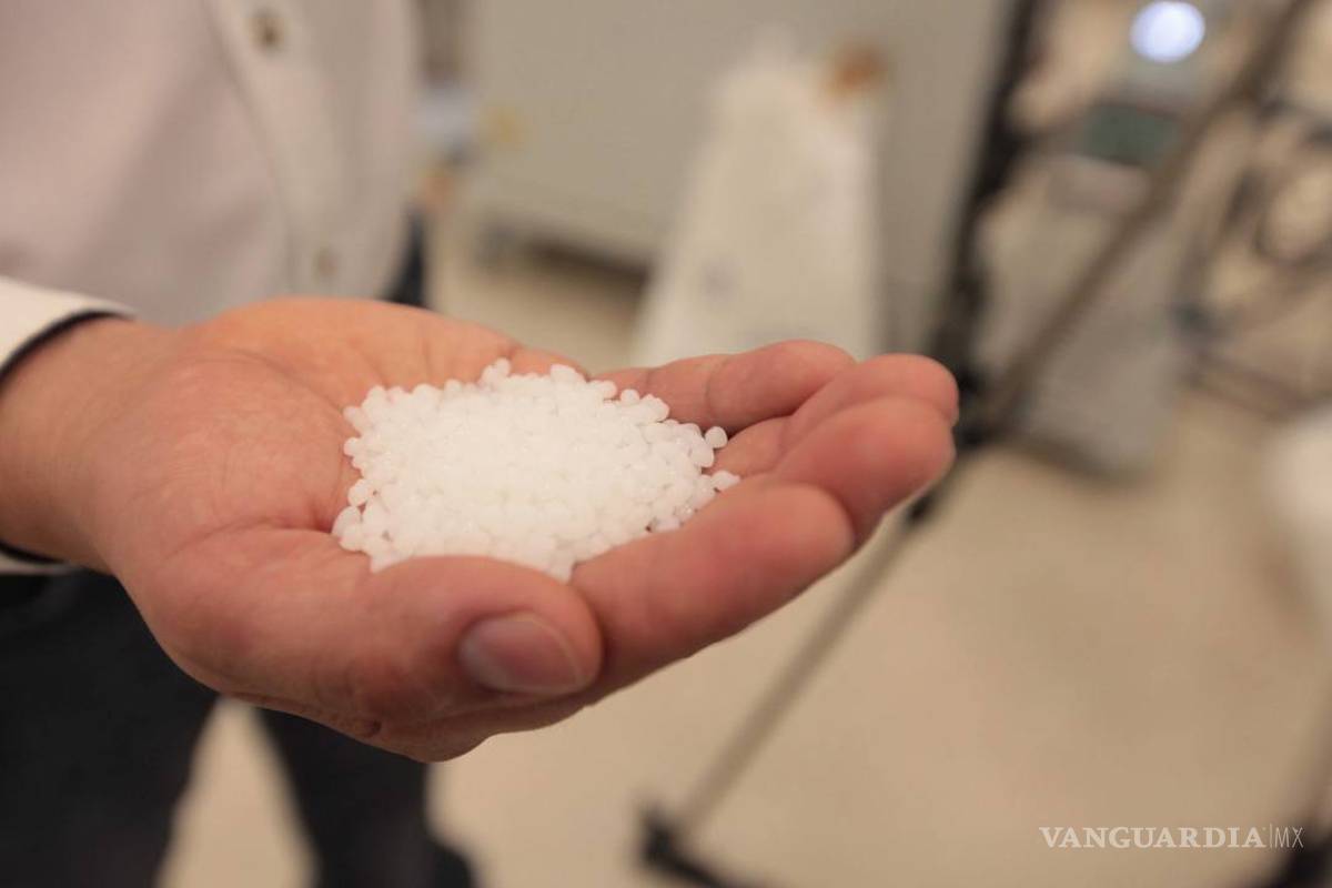 $!Etileno XXI, el mayor complejo petroquímico de América Latina