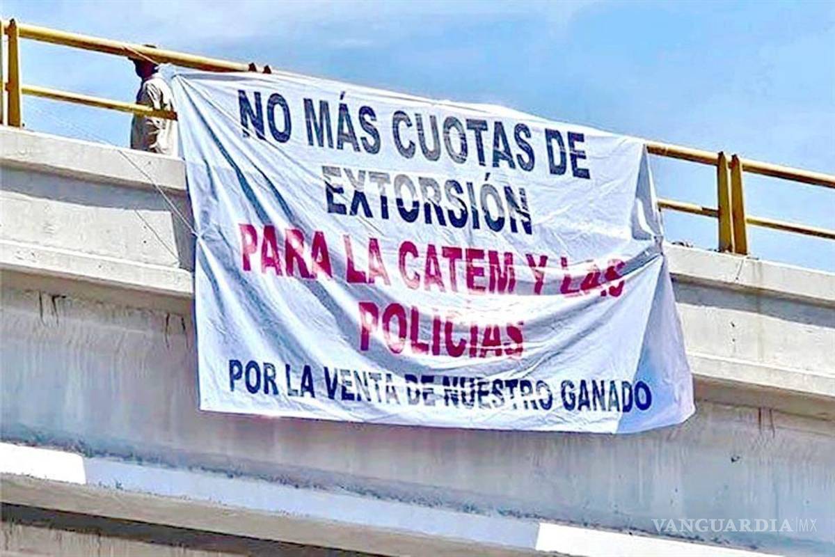 Se suma IP regia a frente común contra la CATEM