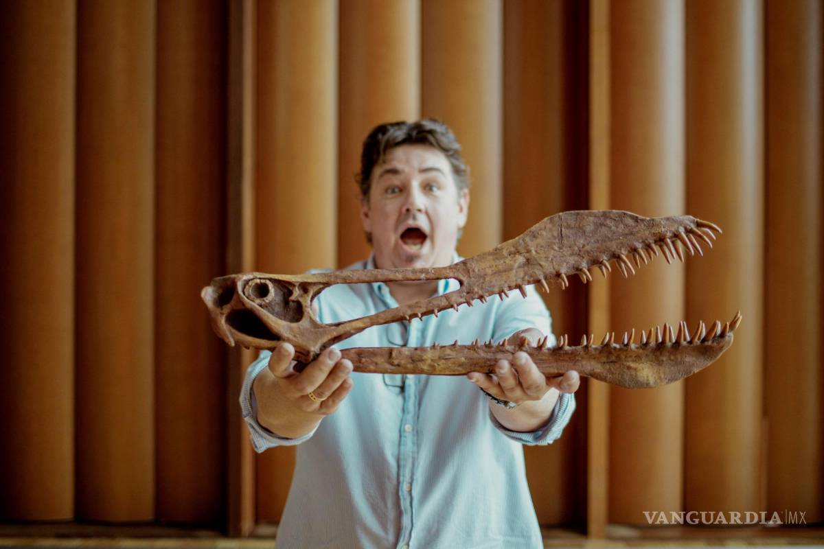 $!Tim Richards con el cráneo de un pterosaurio anhangueriano. EFE/Tim Richards/Anjanette Hudson/Universidad de Queensland