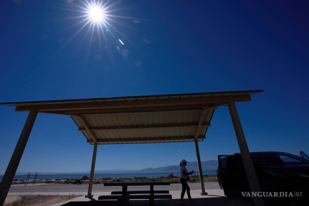 $!Una mujer recoge sus pertenencias tras descansar en una zona bajo la sombra junto al mar de Salton.