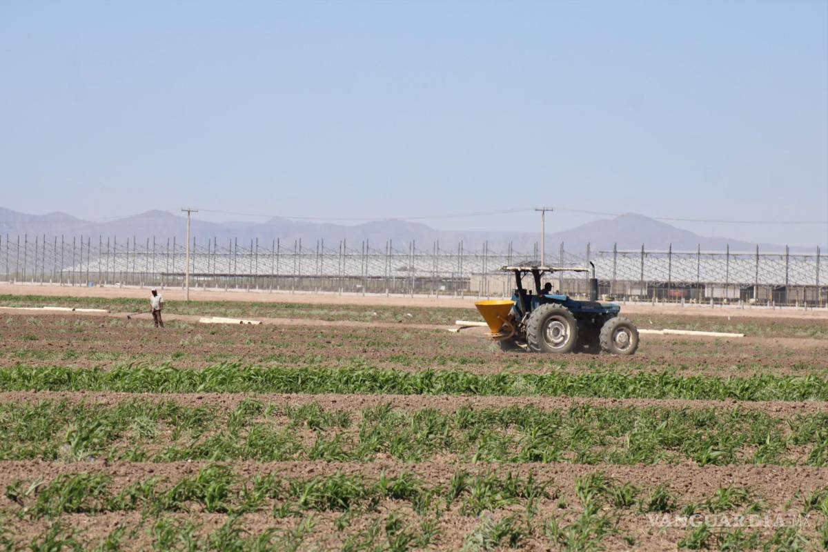 $!La cuenca lechera en la región Laguna de Coahuila y Durango devoró a los ejidos.