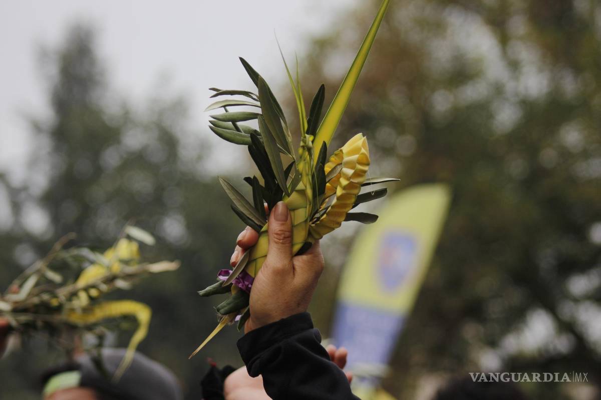 Saltillo: domingo de Ramos se realizará de manera presencial