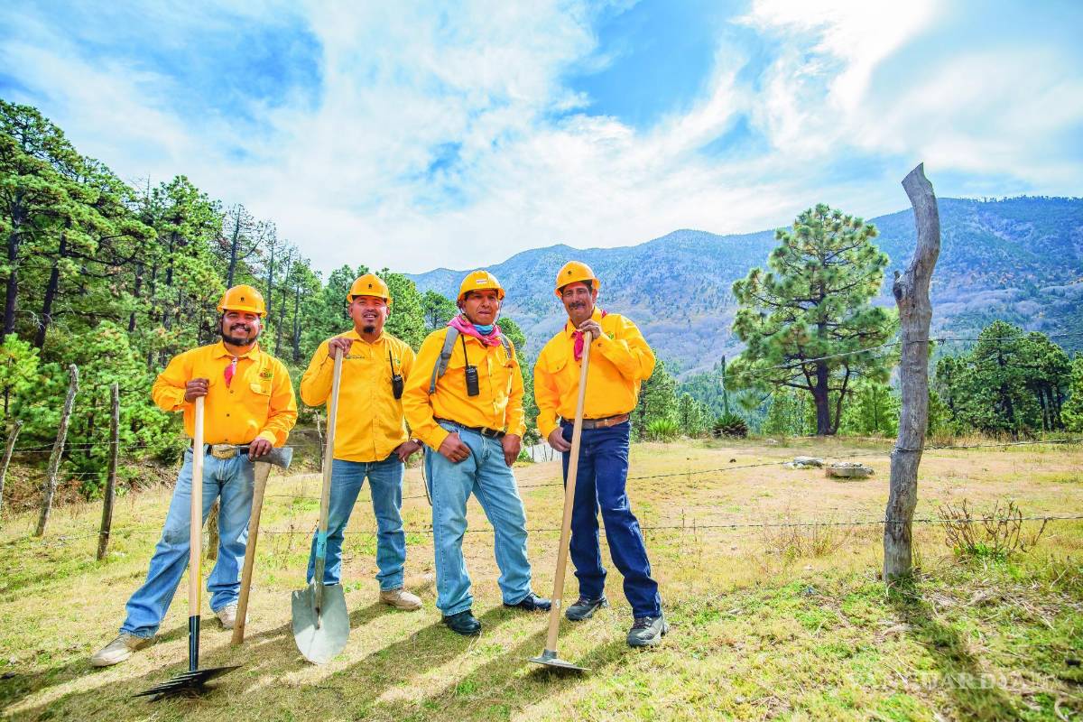 Brigadistas: Héroes de la sierra