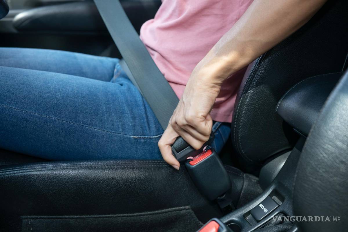 Cinturón de seguridad, obligación y salvación