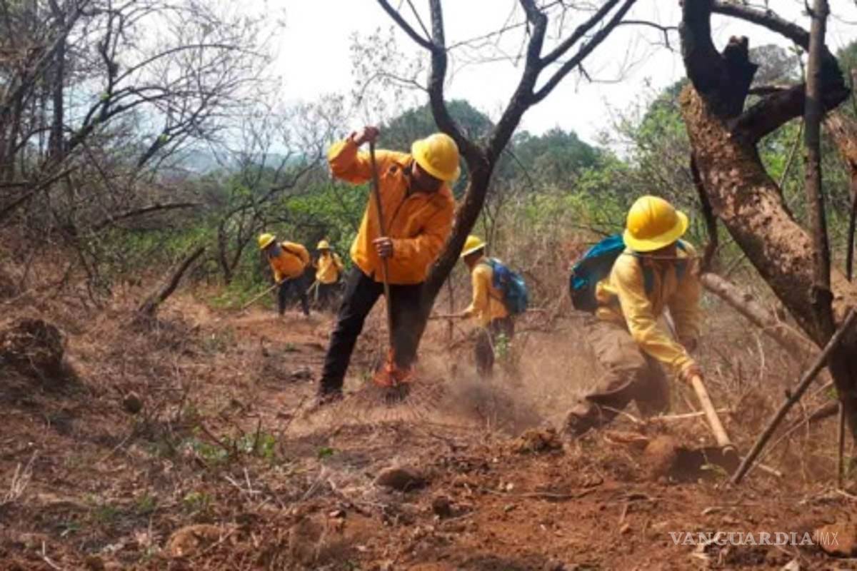 $!Incendio acabó con 100 hectáreas de Biosfera de la Mariposa Monarca