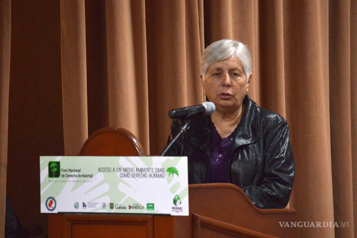 Roban cámaras de monitoreo en la Sierra de Zapalinamé