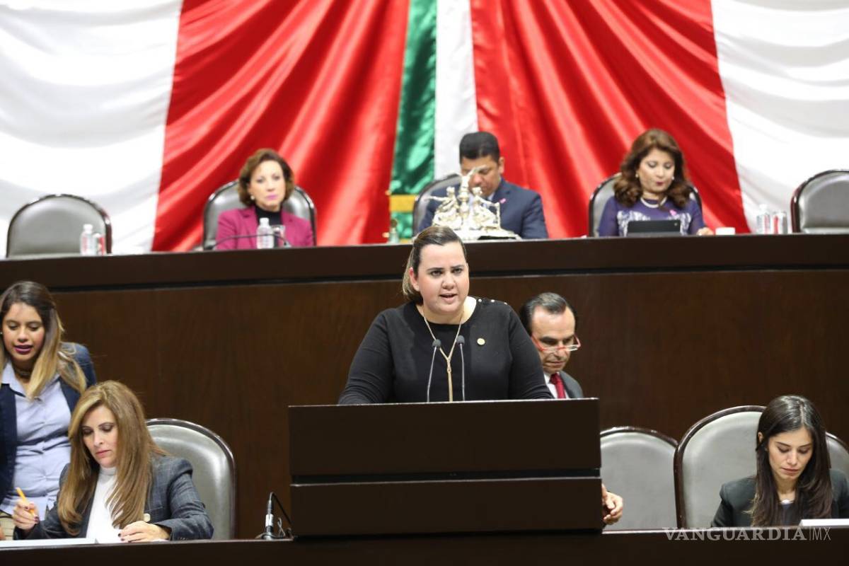 Diputada federal informa sobre las acciones del PRI para apoyar a damnificados del sismo