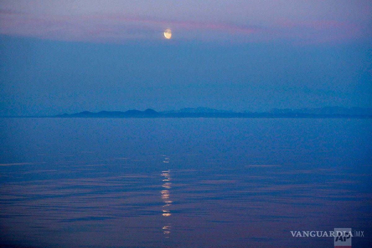 Jugo Naranja: Es oficial: Félix Salgado no será candidato