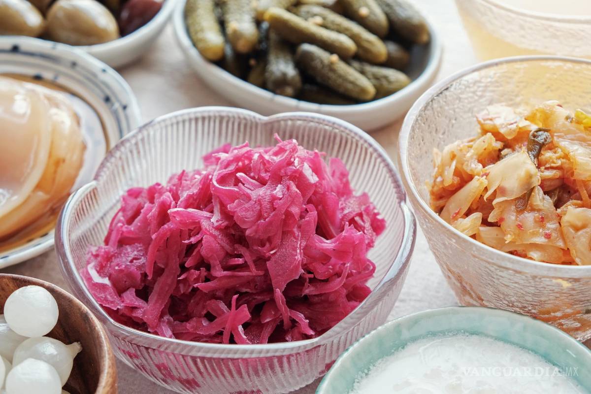 $!Variedad de alimentos fermentados probióticos.