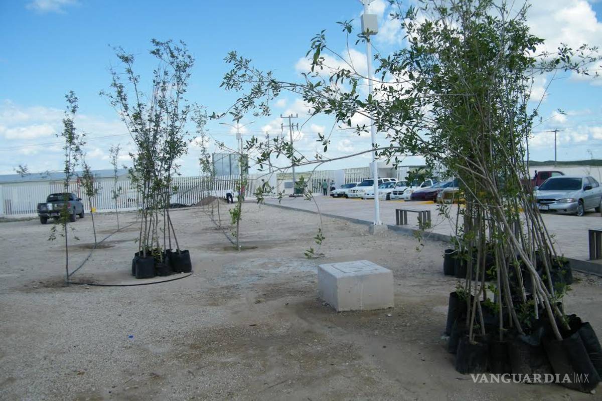 Destacan programas de reforestación en Acuña en el Día Mundial de la Tierra