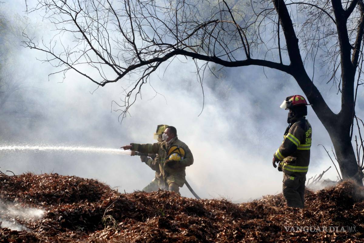Controlan Bomberos incendio en arroyo de Ceballos, en Bosque Urbano de Saltillo