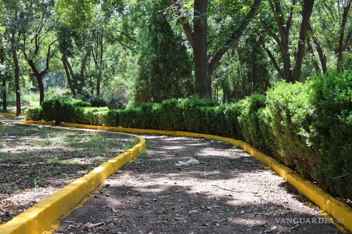 $!También se interviene la infraestructura del parque, incluyendo rejas perimetrales, cordones cuneta, bardas y accesos.