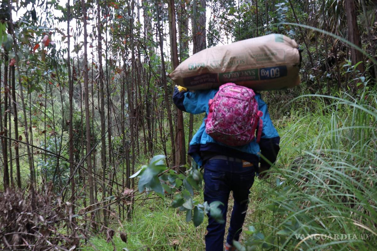 $!Hay que andar con cuidado por el campo e ir con la ropa adecuada. EFE/Xavier Montalvo