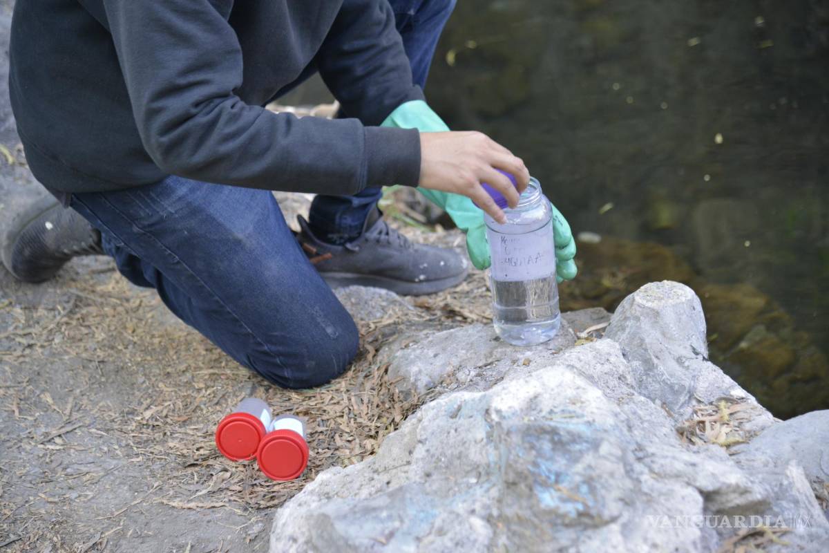 Alto grado de contaminación del Pozo Azul vuelve letal entorno para Carpita de Saltillo