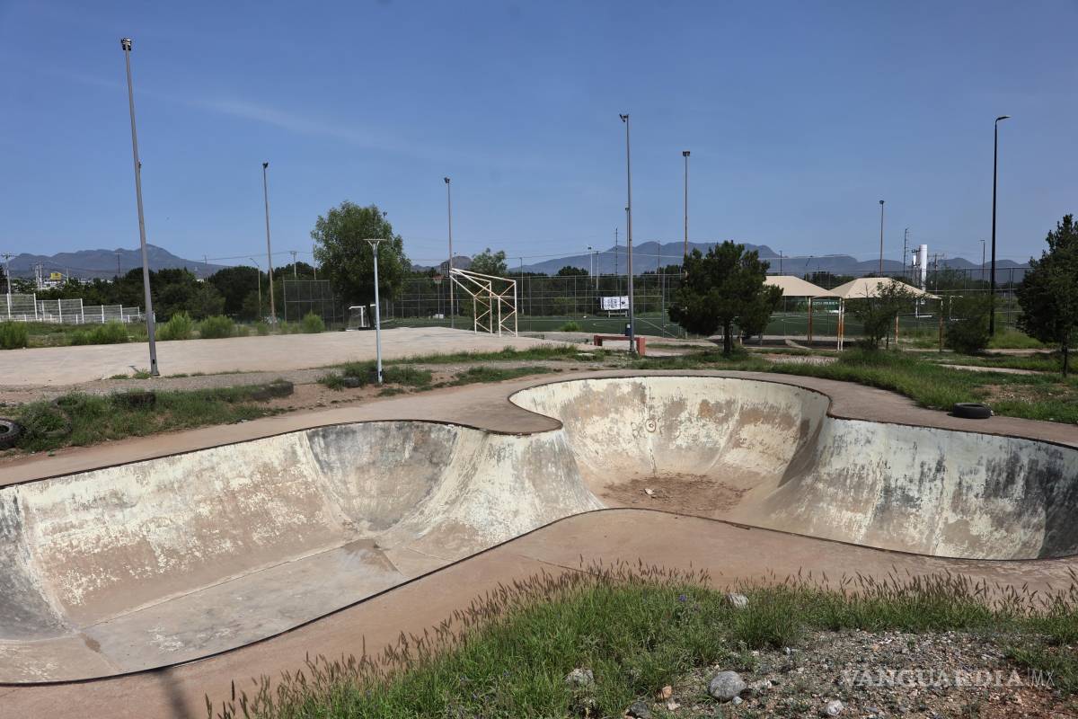$!La cercanía con el Bosque Urbano y un arroyo favorece la presencia de distintas especies en los alrededores de La Madriguera.