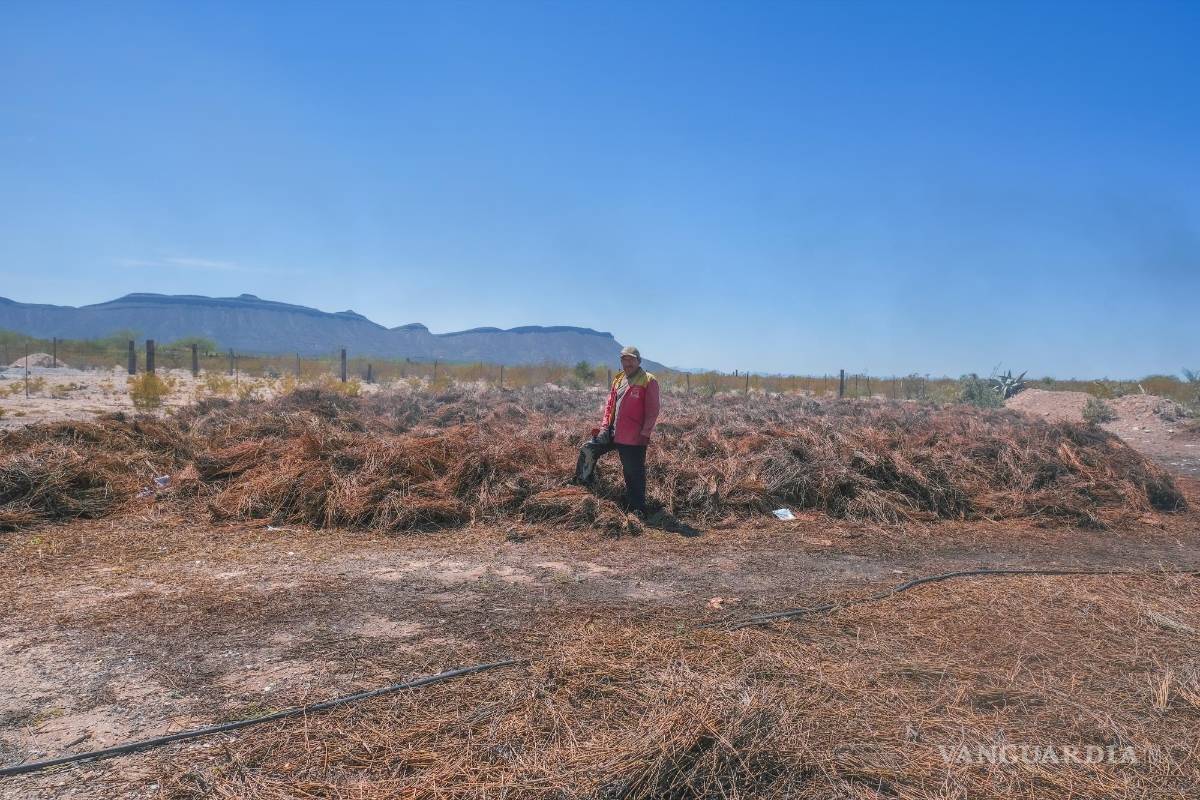 $!Los pocos habitantes que quedan en Tuxtepec se dedican a la candelilla.