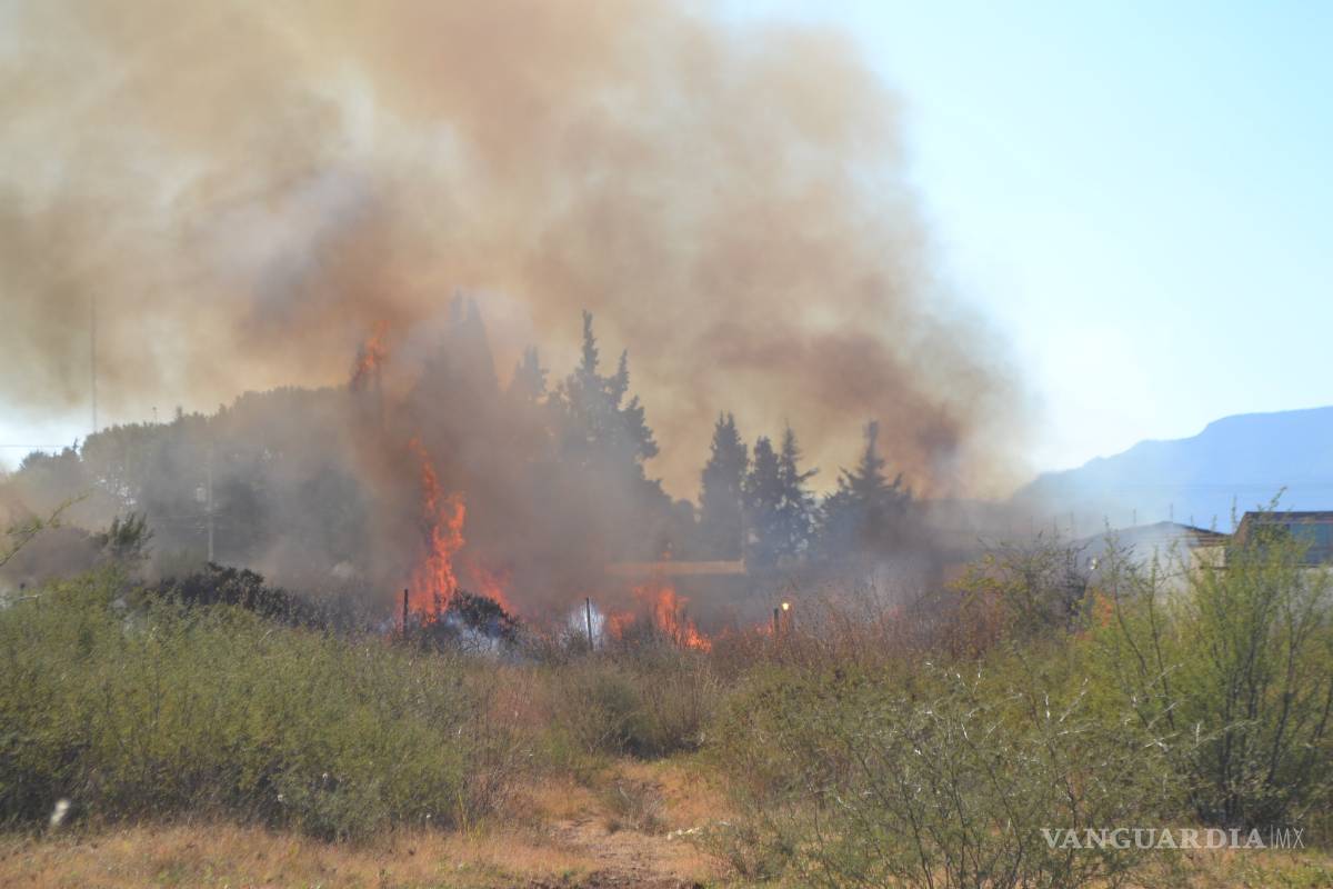 Controlan fuego en baldío de Lomas de Lourdes