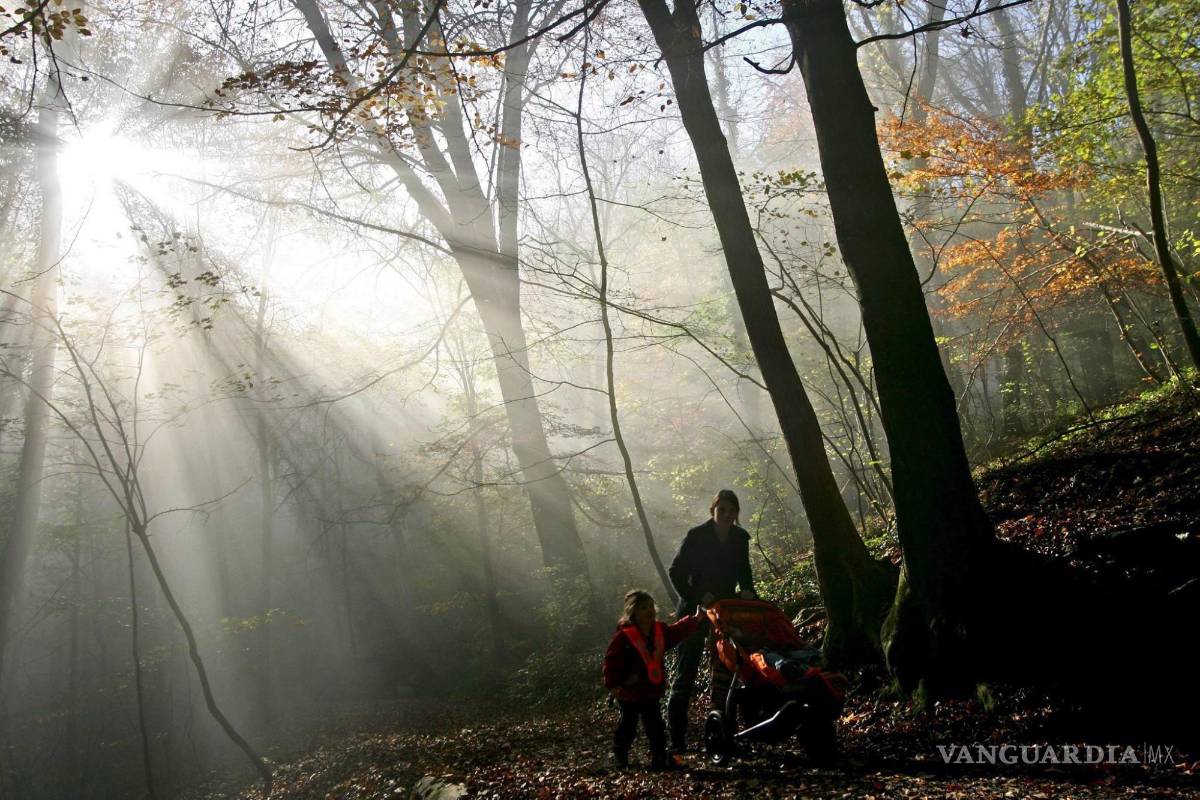 $!Una niña camina junto a su madre con el campo en una zona boscosa. Siempre hay que tener cuidado con los insectos. EFE/EPA/Alessandro Della Bella