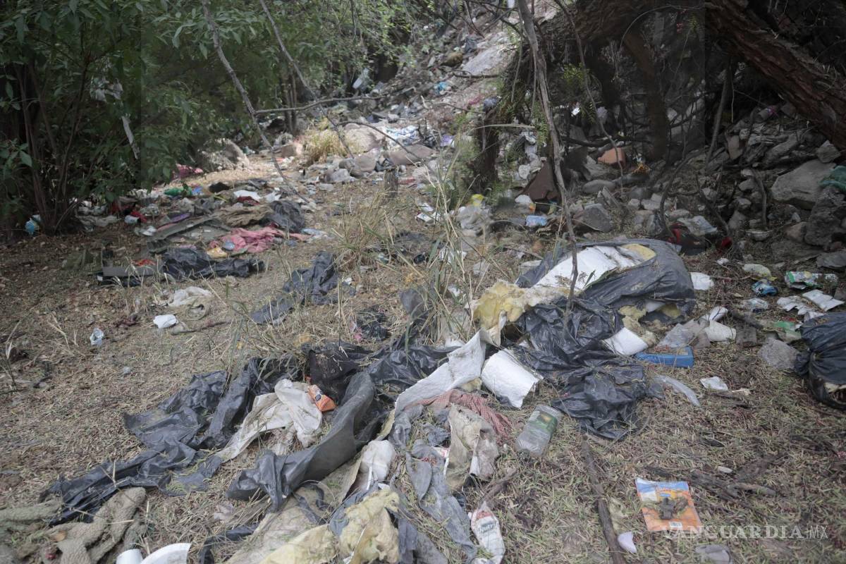 Con firmas, activistas exigen fin al uso de plástico