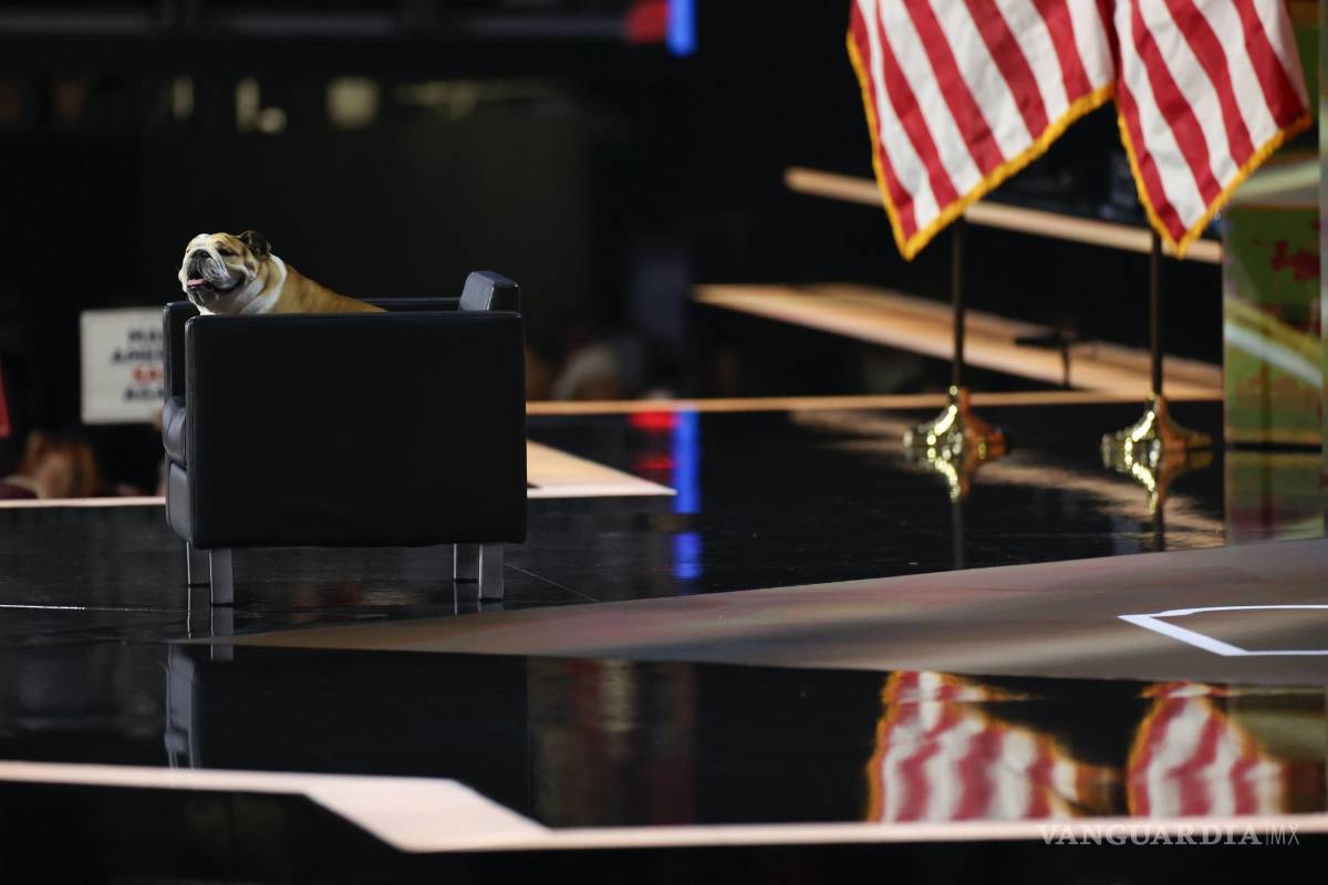 $!El bulldog inglés, Babydog, del gobernador de Virginia Occidental, Jim Justice, en la segunda noche de la Convención Nacional Republicana en Milwaukee-