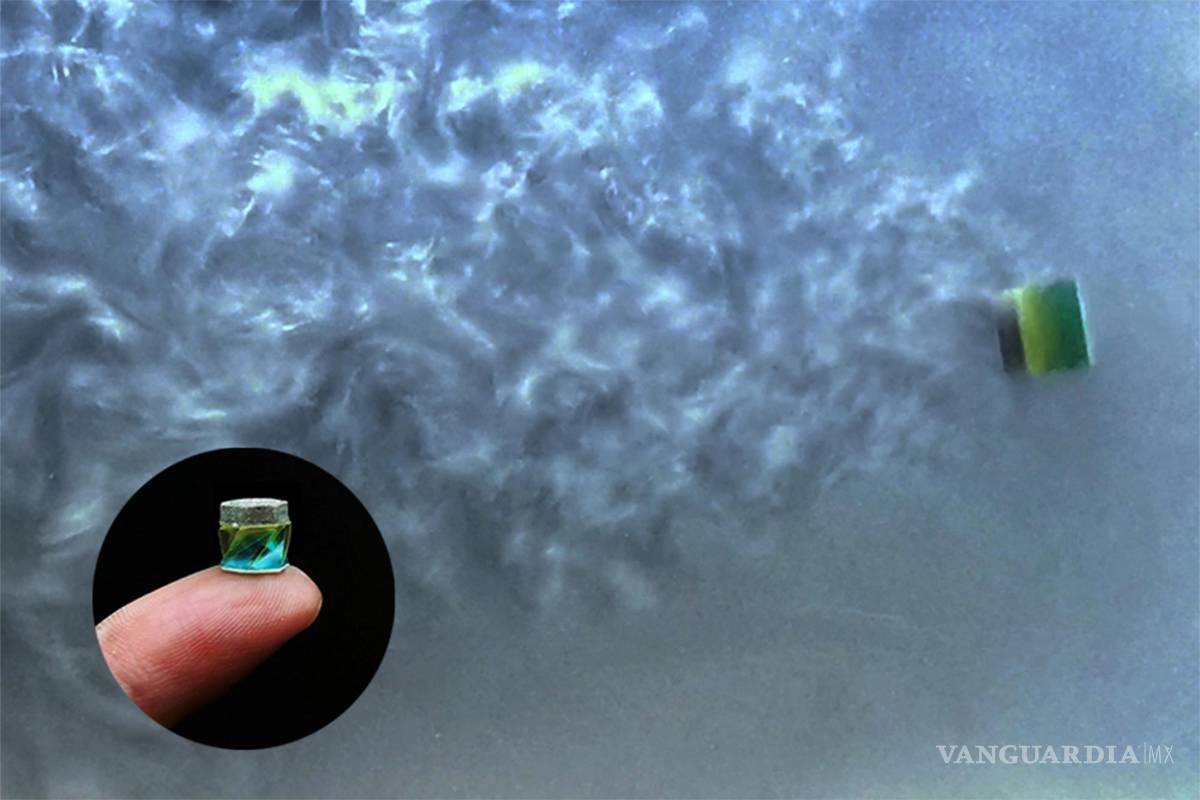 ¡Asombroso!, crean un robot anfibio que podría cambiar la forma de administrar las medicinas