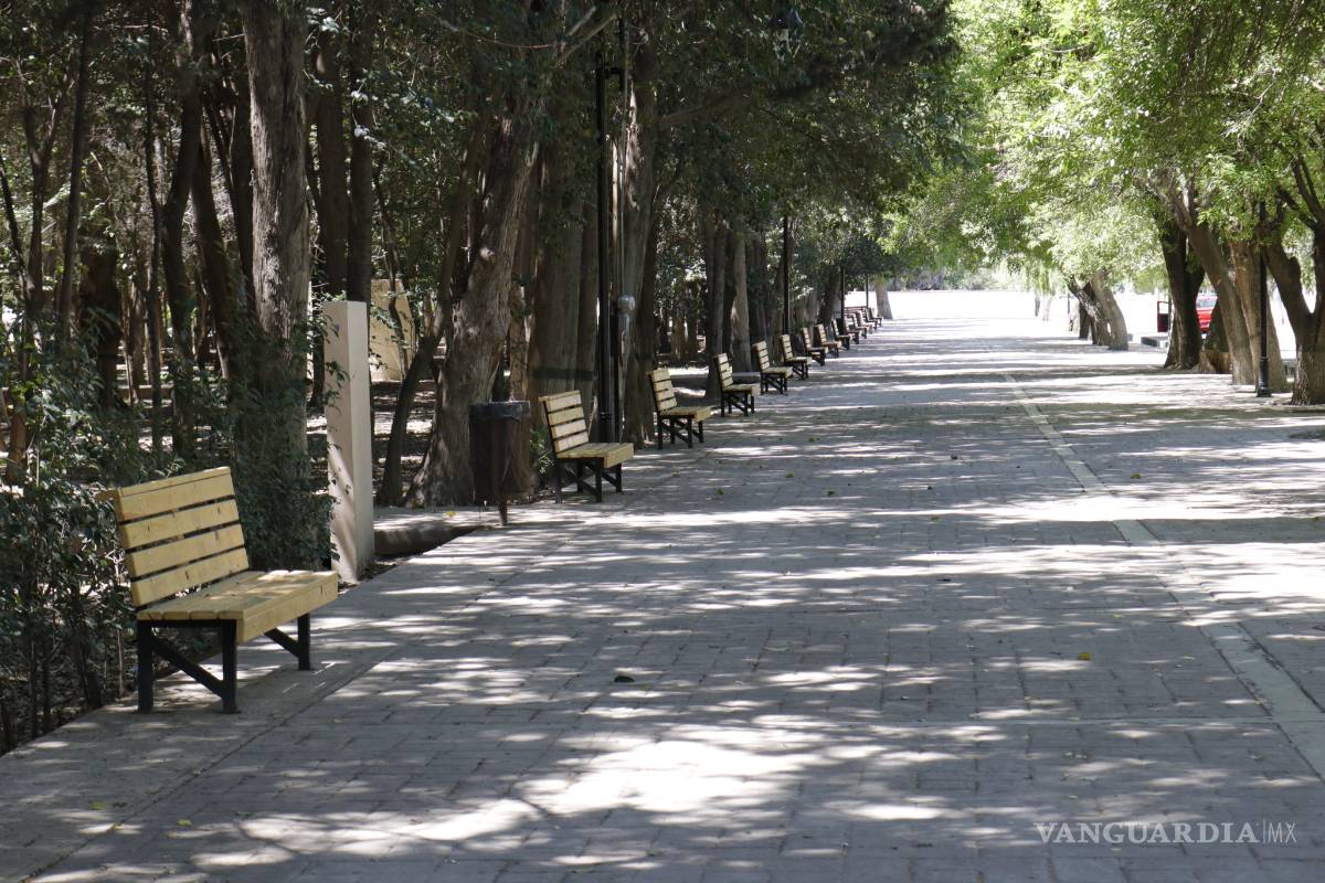 Seguirá sin comercios la Alameda de Arteaga... por lo pronto