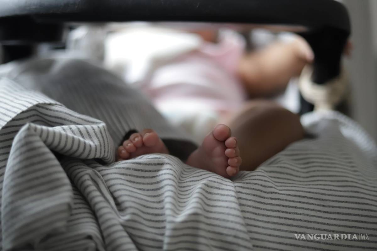 $!Lo que está por ley es el interés superior del menor, y bajo esa premisa cualquier instancia o dependencia debería tendría que dar prioridad.