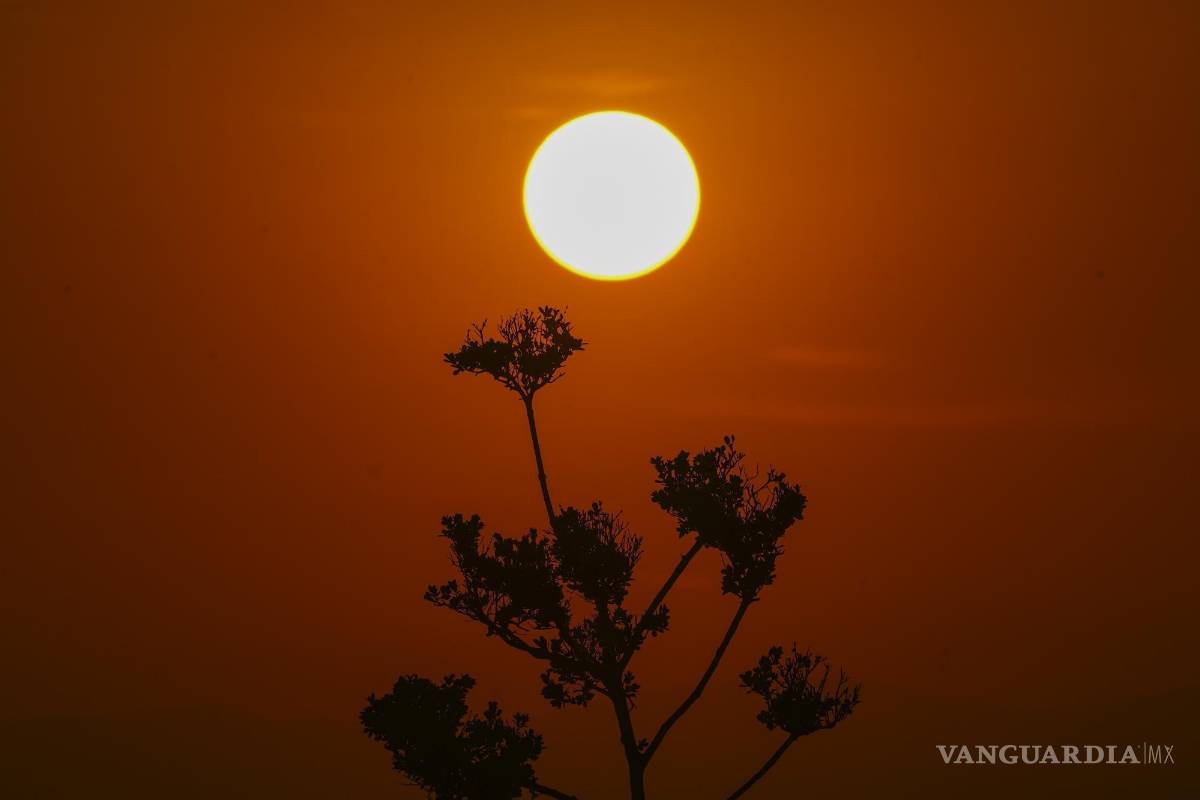 “Domo de calor” provoca temperaturas sofocantes en México, Centroamérica y sur de EU