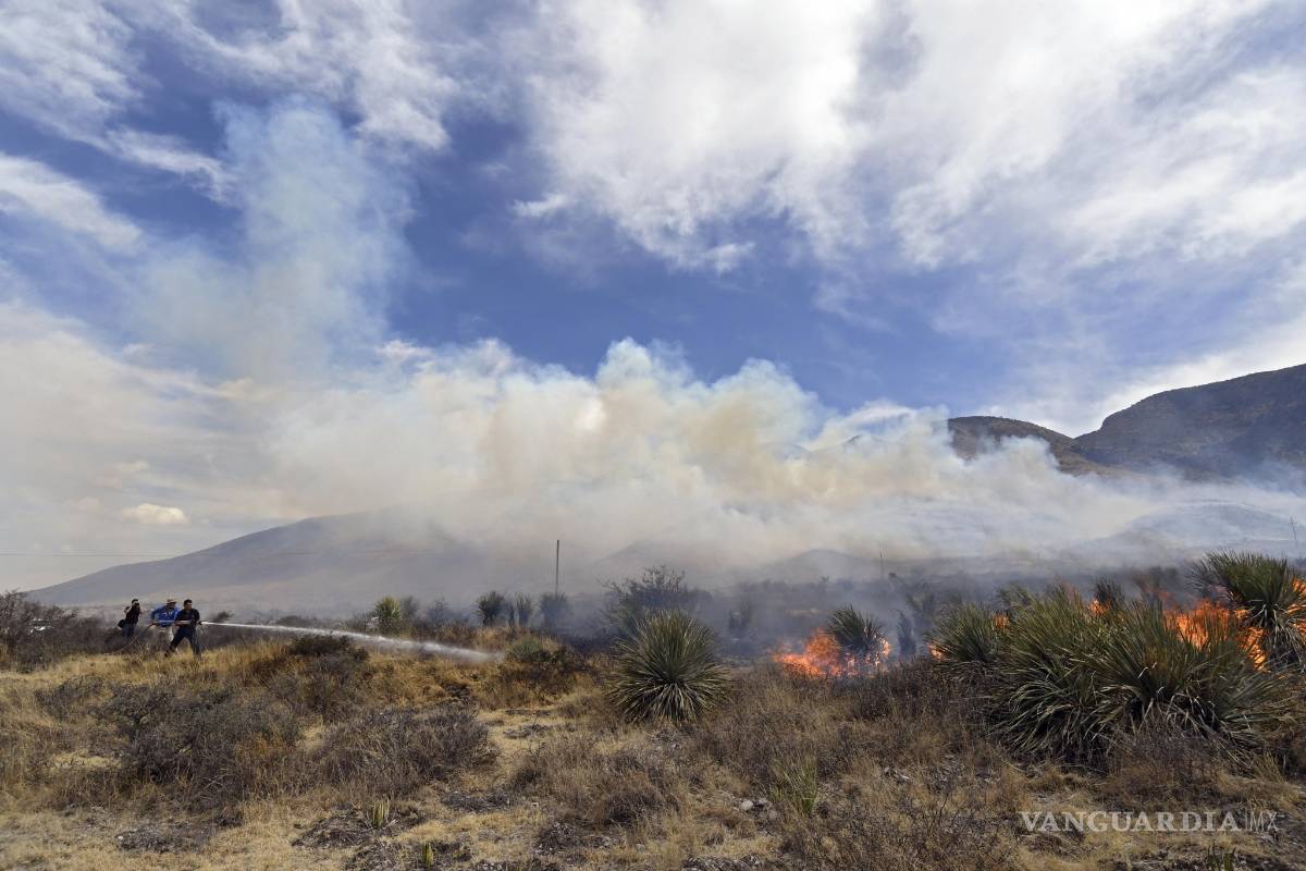 Cuatro incendios se encuentran activos en la Región Sureste de Coahuila