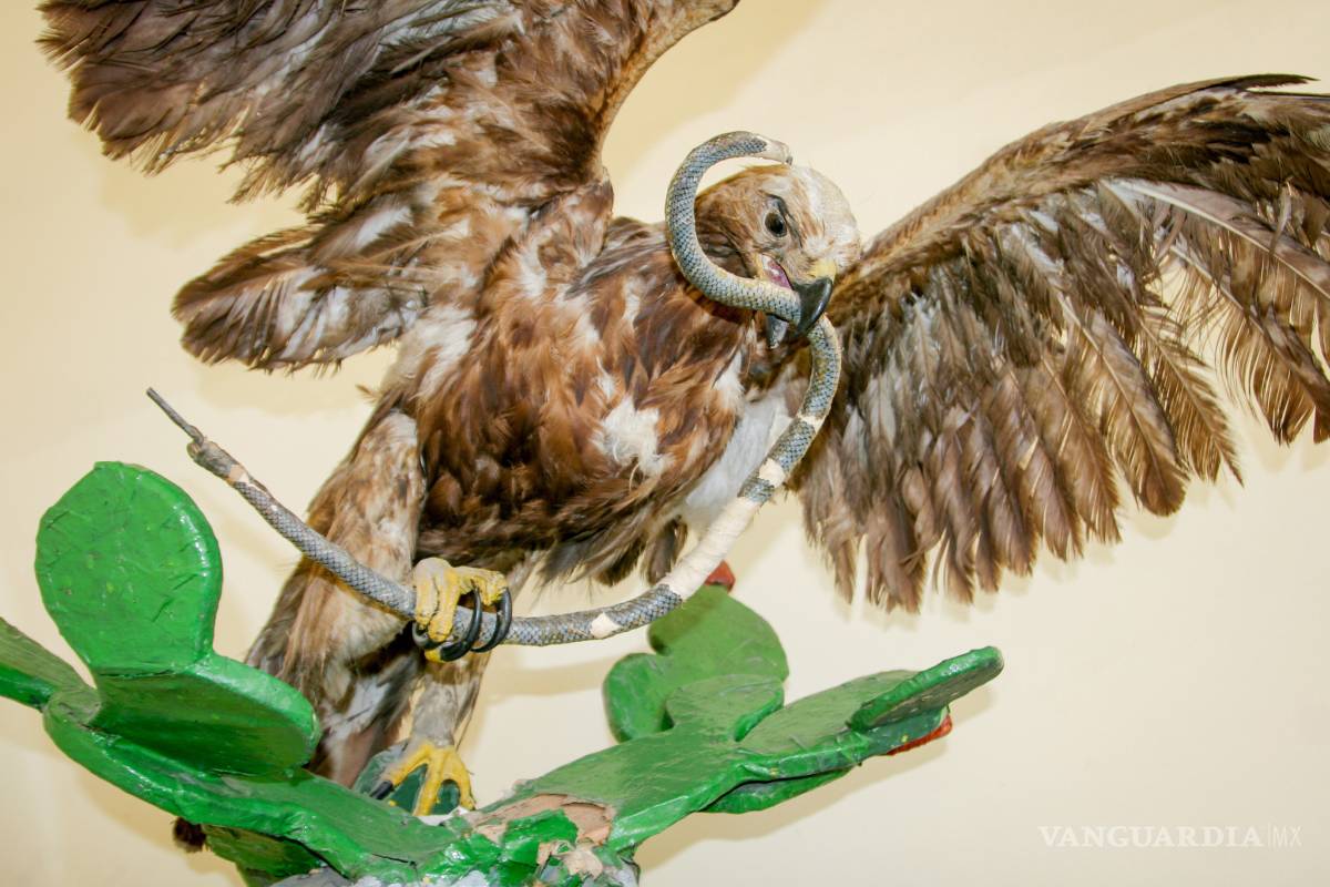$!Escuela Miguel López de Saltillo, cuna de personajes, mitos y leyendas