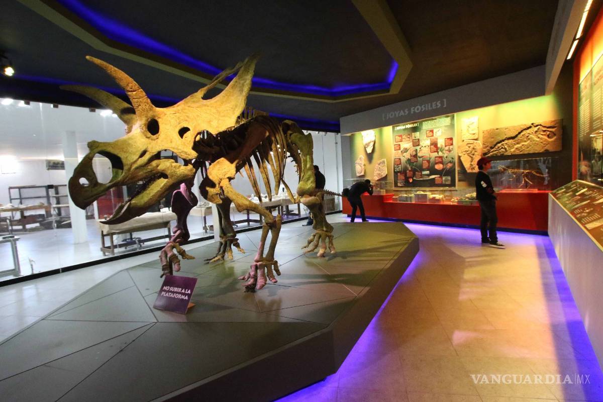 $!Museo del Desierto de Saltillo acerca a la gente a sus investigadores para que aprecien su trabajo en laboratorio