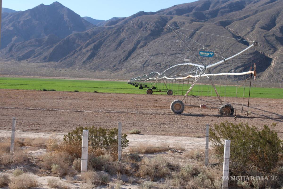 $!La austeridad republicana ha golpeado en mayor medida a la Conagua, donde sólo ha quedado como oficina de partes, según especialistas.