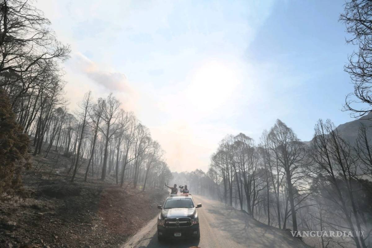 Zona de El Tunal es la más activa