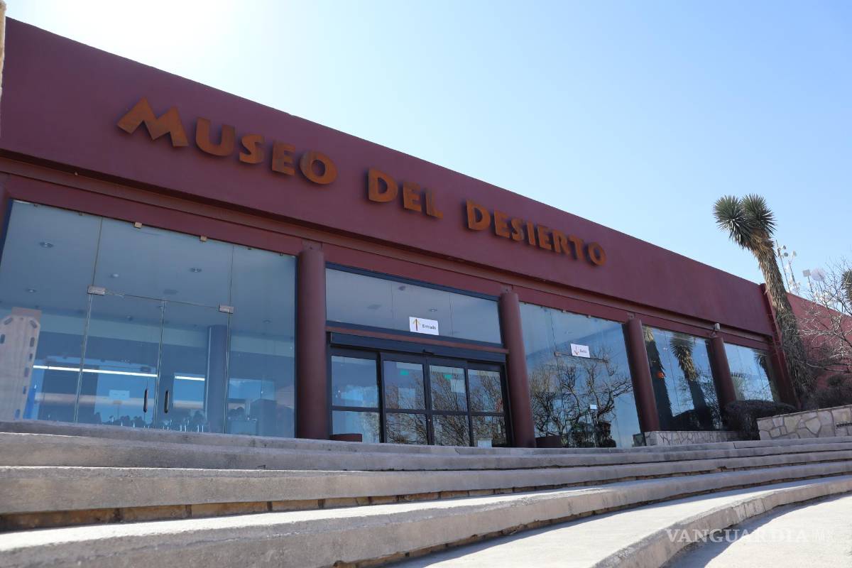 Mundos al microscopio: pequeños científicos aprenden entre fósiles de dinosaurios y otras criaturas en el Mude